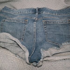 Torrid Shorts